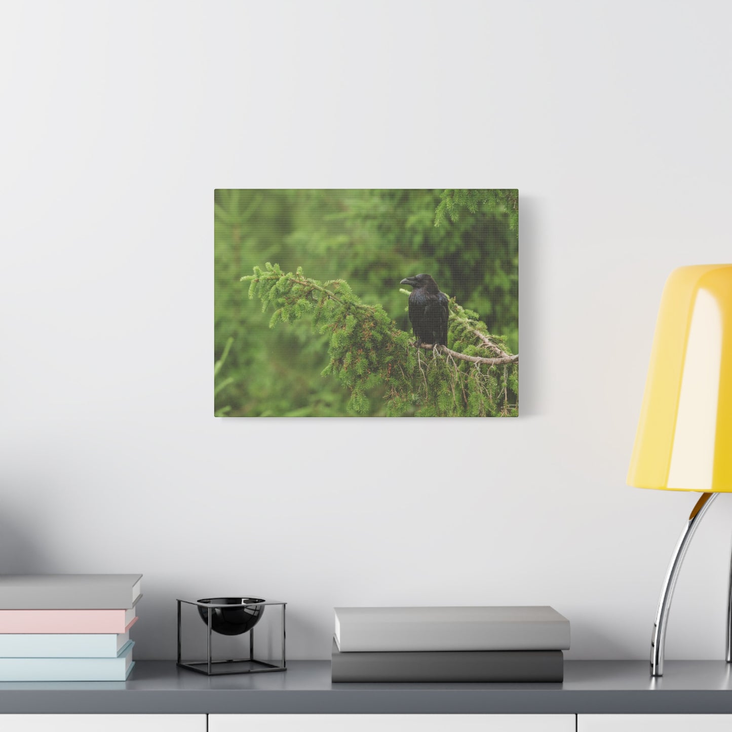 Raven on Evergreen Branch Matte Stretched Canvas Wall Art