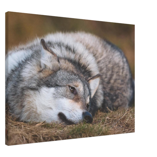 483dc727-dc90-4b18-8c15-2067386e4fc8