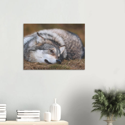 7d826f92-4470-42de-a06a-679e6265137f